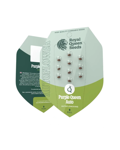 Purple Queen Auto von Royal Queen Seeds, Originalverpackung