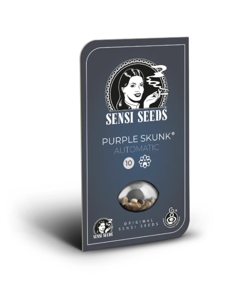 Purple Skunk Auto von Sensi Seeds – Samenpackung, autoflowering feminisierte Cannabis Samen