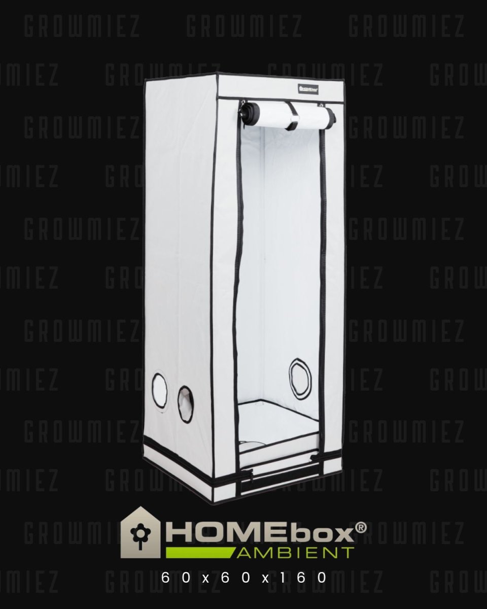 homebox grow zelt Ambiente Q60 kettlerfahrrad Vorteile der Homebox Ambient Material:Dura Ace WHR9270 De Ole Smuggler -