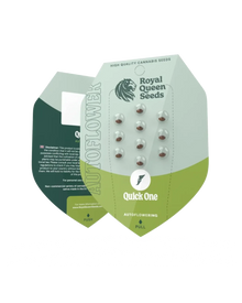 Quick One Cannabis Samen von Royal Queen Seeds, Originalverpackung