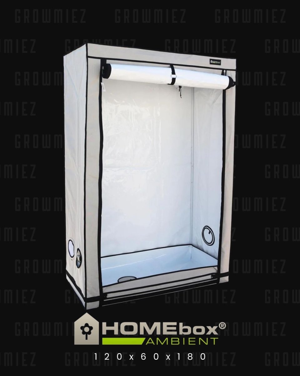 Homebox Ambient R120S