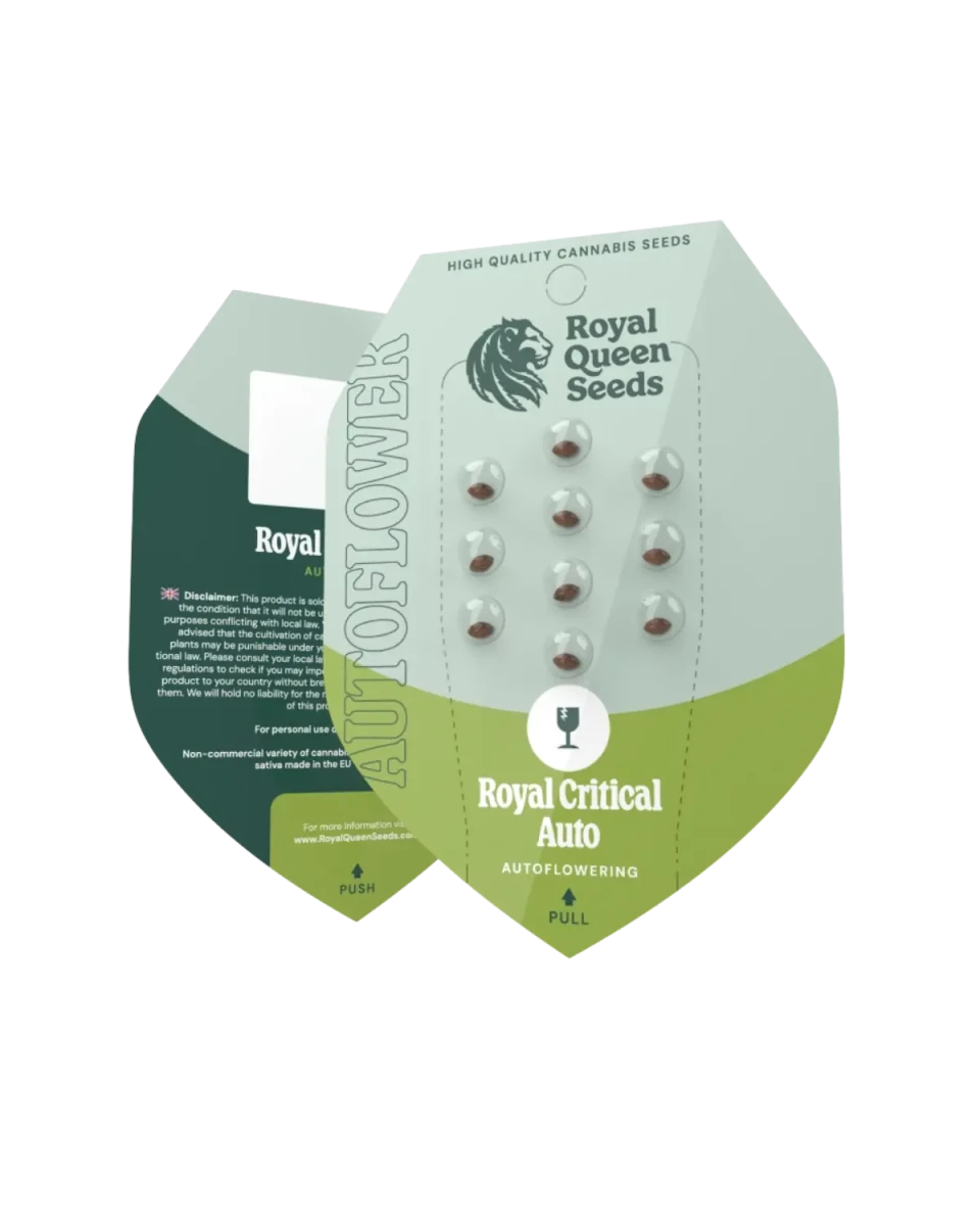 Royal Critical Autoflower Samen von RQS
