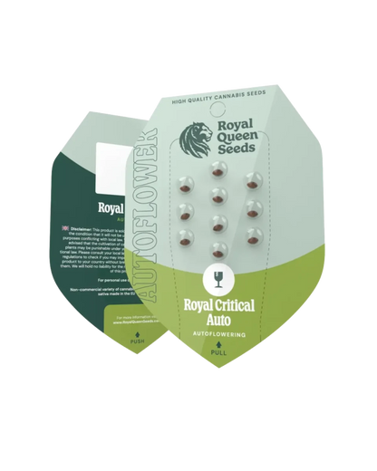 Royal Critical Autoflower Samen von RQS
