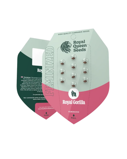 Royal Gorilla, feminisierte Samen