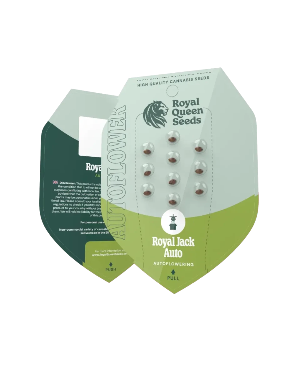 Royal Jack Auto; RQS autoflowering Samen