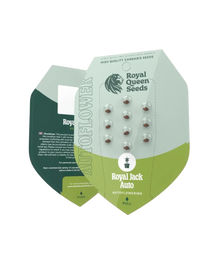 Royal Jack Auto; RQS autoflowering Samen