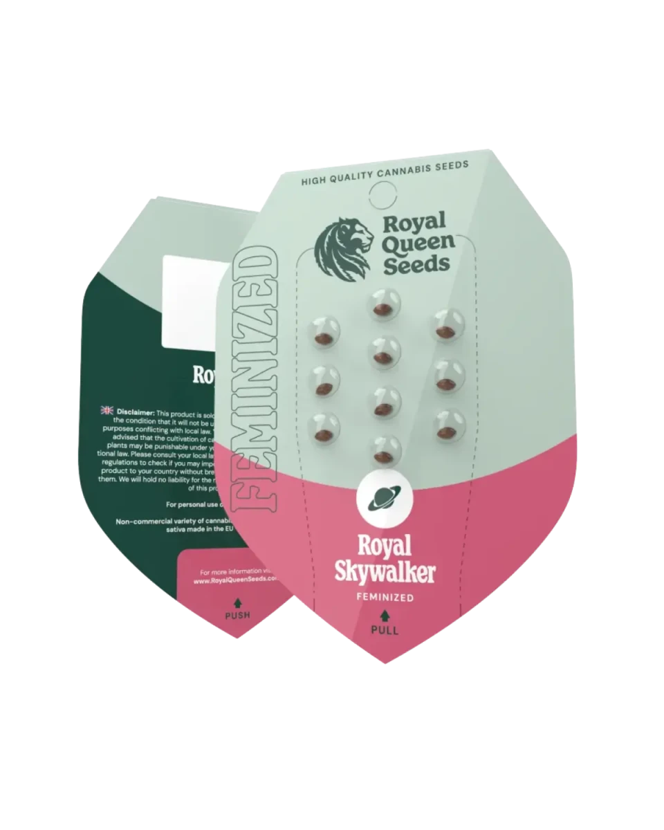 Royal Skywalker feminisierte Samen, Royal Queen Seeds Originalverpackung mit 3 Samen