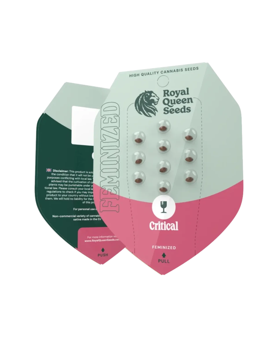 Critical Cannabis Samen, Originalverpackung mit 3 und 5 Samen