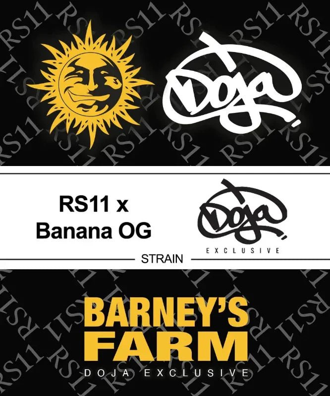 rs-11-banana-og-von-barneys-farm