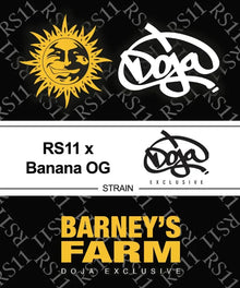 rs-11-banana-og-von-barneys-farm