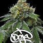 rs11-x-banana-og