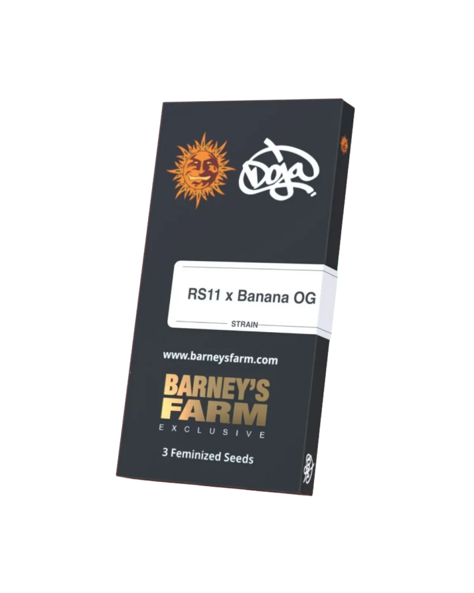 Originalverpackung RS11 x Banana OG
