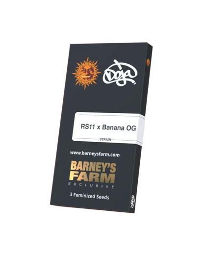 Originalverpackung RS11 x Banana OG