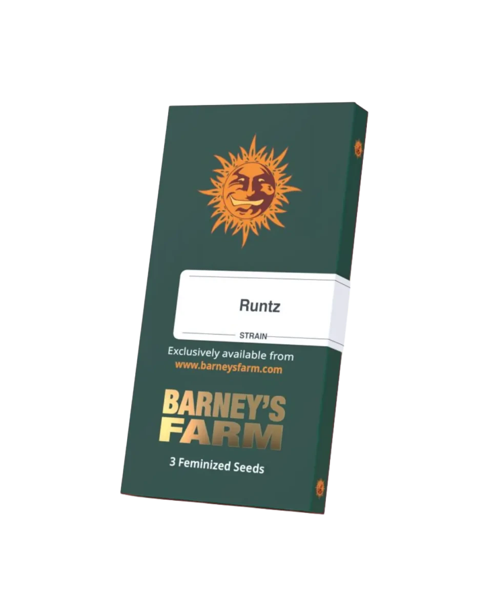Originalverpackung Runtz Cannabis Samen