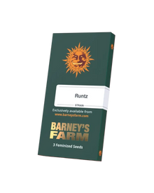 Originalverpackung Runtz Cannabis Samen