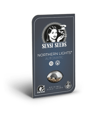 northern-lights-automatic