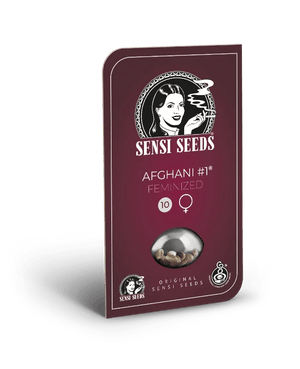 afghani-1-sensi-seeds
