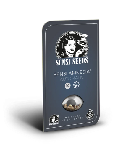 Sensi Amnesia XXL Auto von Sensi Seeds – Samenpackung, autoflowering feminisierte Cannabis Samen