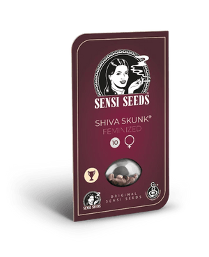sensi-seeds-shiva-skunk