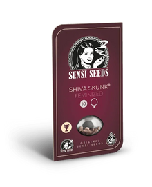 sensi-seeds-shiva-skunk