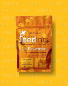 Greenhouse Feeding Short Flowering