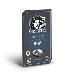 sensi-seeds-skunk-1-auto
