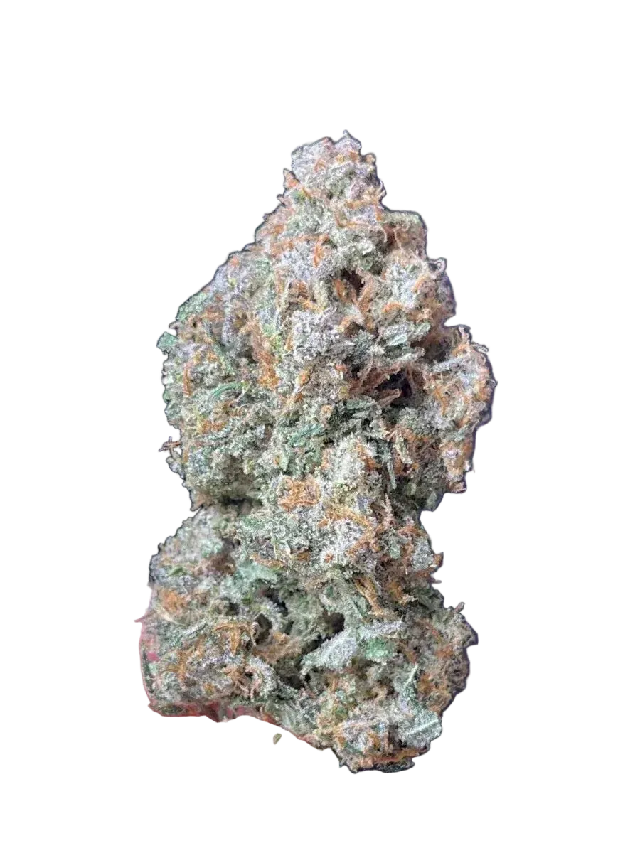 sour-jealousy-auto-2