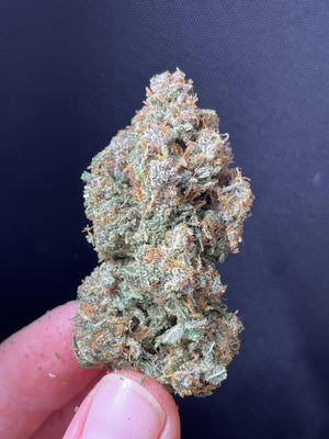 sour-jealousy-auto-2
