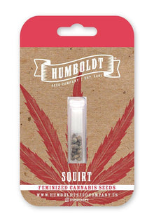 humboldt-seed-company-squirt