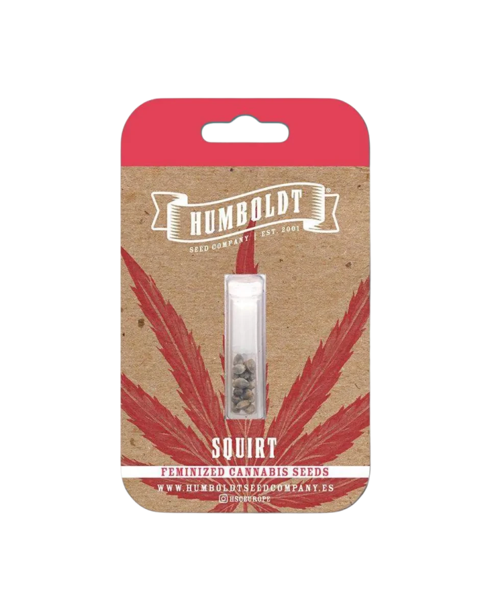 Squirt Originalverpackung von Humboldt Seed Company