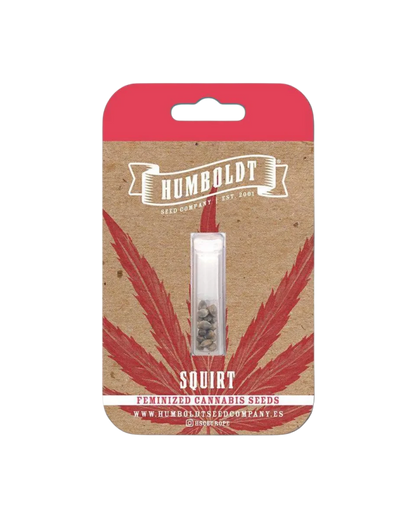 Squirt Originalverpackung von Humboldt Seed Company