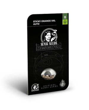 sticky-orange-xxl-von-sensi-seeds