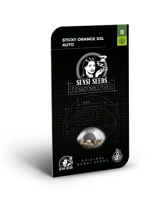 sticky-orange-xxl-von-sensi-seeds