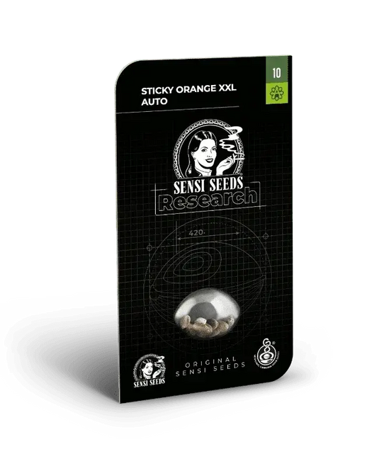sticky-orange-xxl-von-sensi-seeds