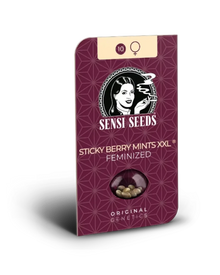 Sticky Berry Mints XXL von Sensi Seeds – Samenpackung, feminisierte Cannabis Samen