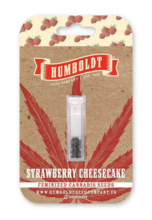 Packung Strawberry Cheesecake feminisierte Cannabis Samen von Humboldt Seed Company