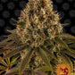 barneys-farm-strawberry-lemonade