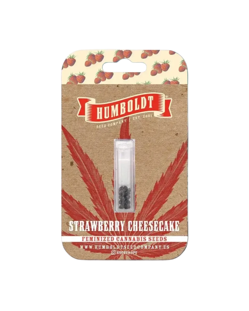Strawberry Cheesecake Cannabis Samen