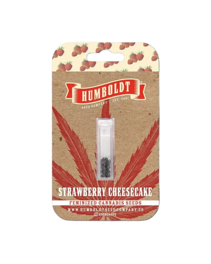 Strawberry Cheesecake Cannabis Samen