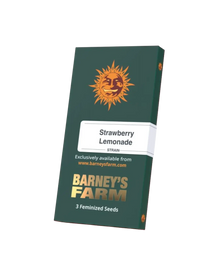 Samenpackung Strawberry Lemonade Barneys Farm