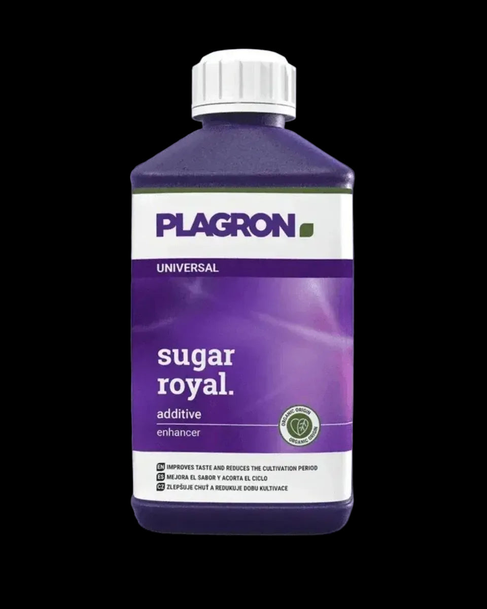 Sugar Royal