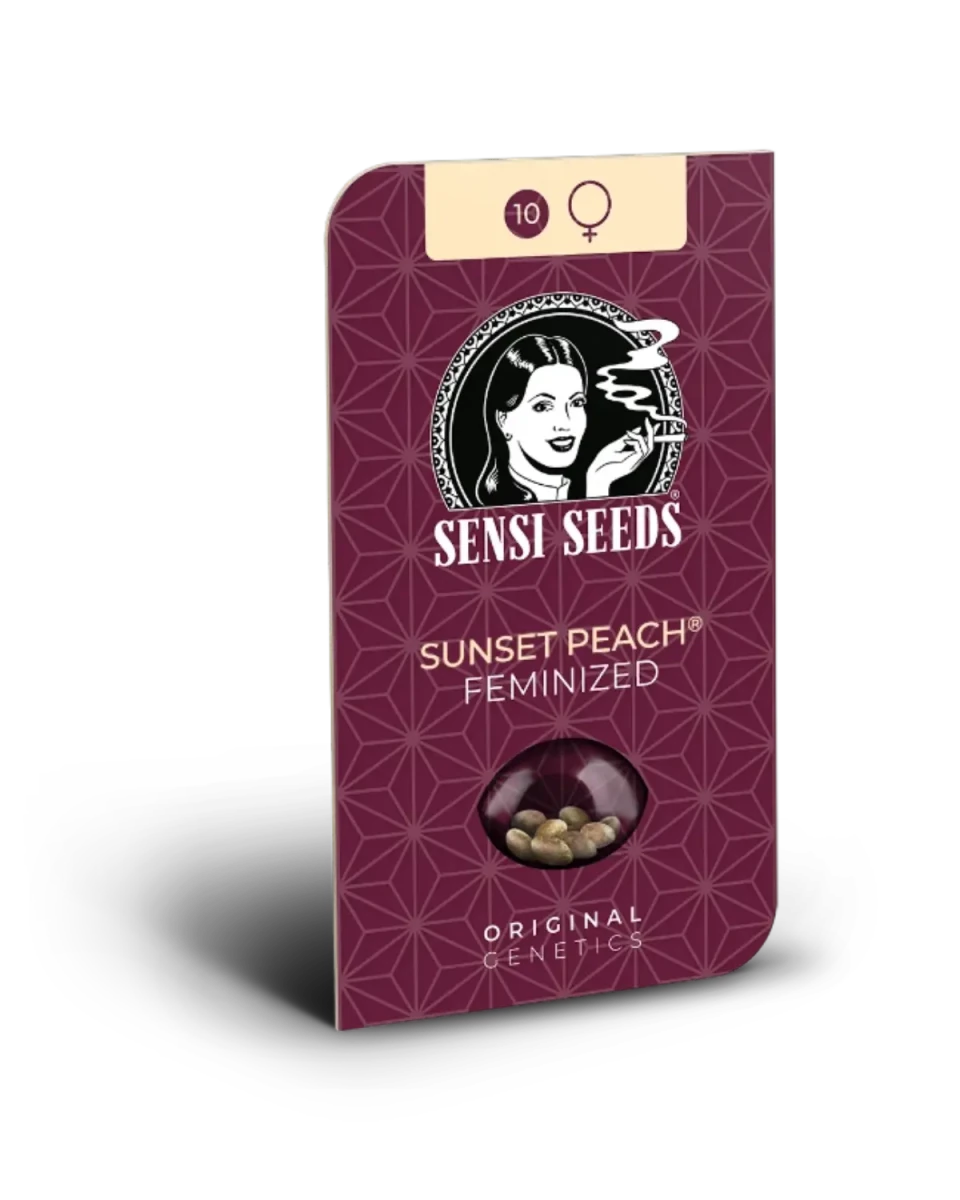 Sunset Peach von Sensi Seeds – Samenpackung, feminisierte Cannabis Samen