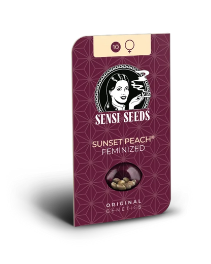 Sunset Peach von Sensi Seeds – Samenpackung, feminisierte Cannabis Samen