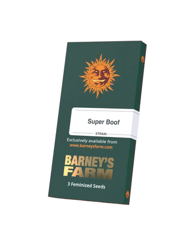 Super Boof