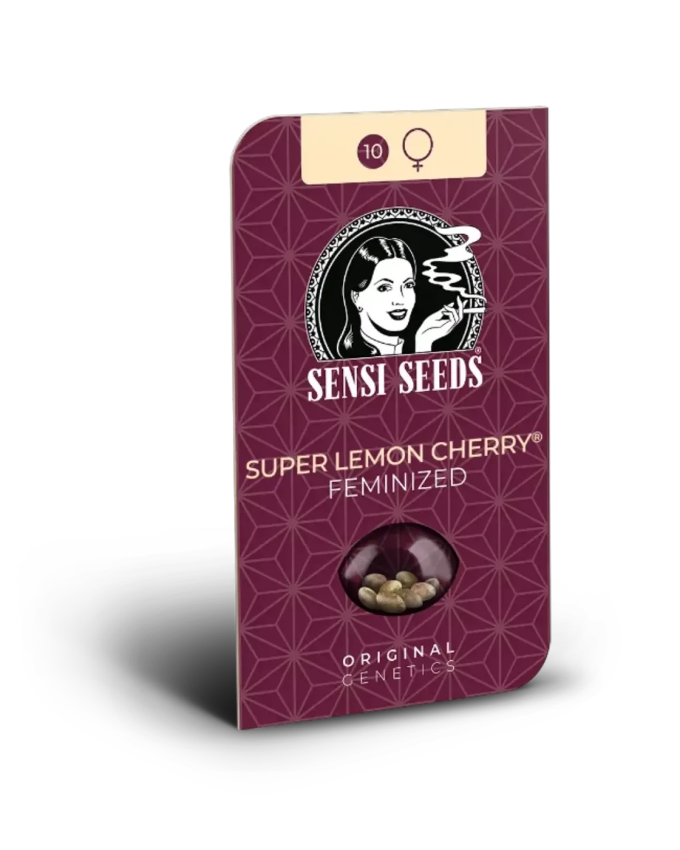 Super Lemon Cherry von Sensi Seeds – Samenpackung, feminisierte Cannabis Samen