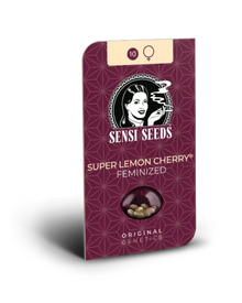 Super Lemon Cherry von Sensi Seeds – Samenpackung, feminisierte Cannabis Samen