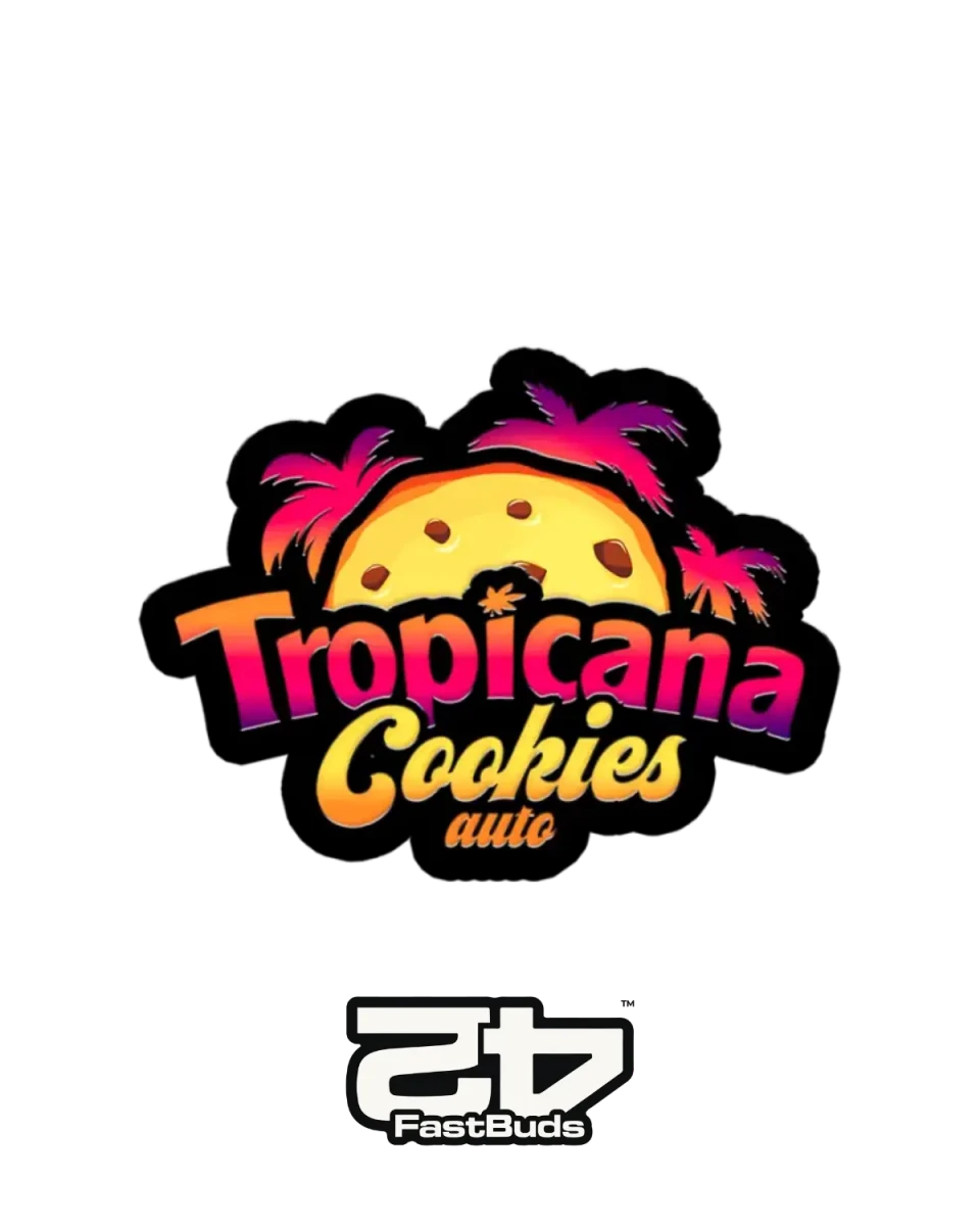 Tropicana Cookies Auto