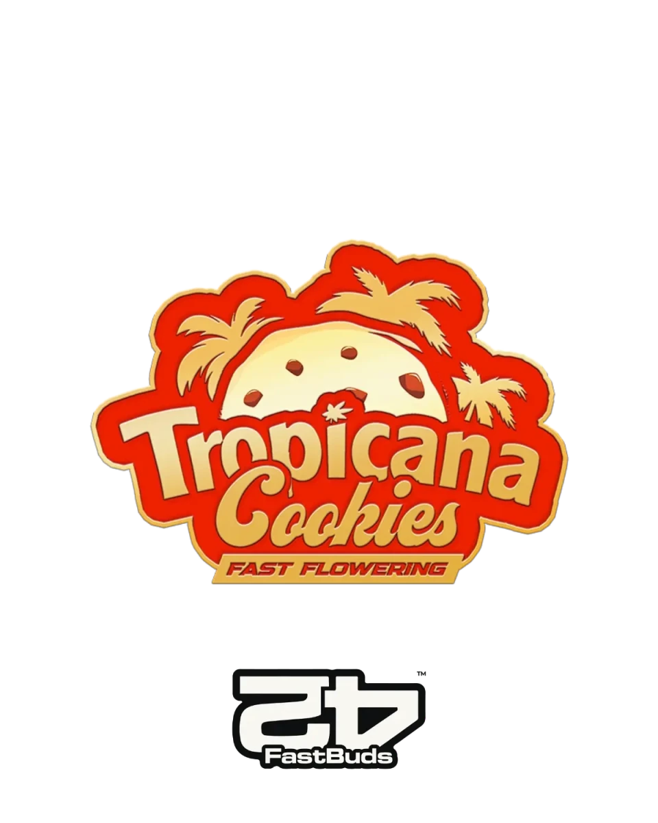 Tropicana Cookies Fast Flowering