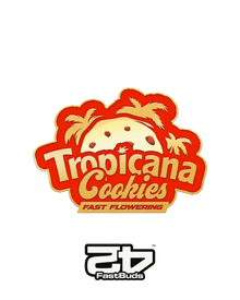 Tropicana Cookies Fast Flowering
