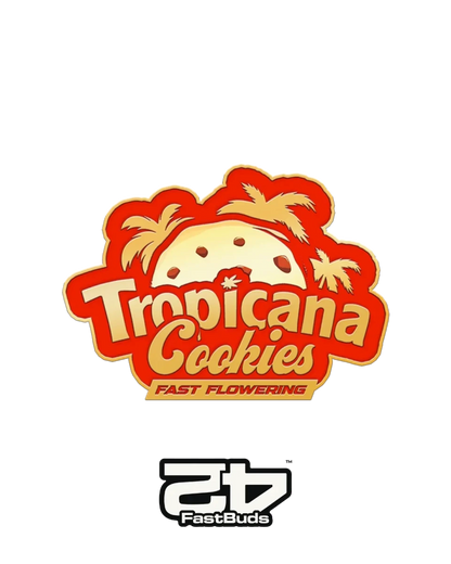 Tropicana Cookies Fast Flowering